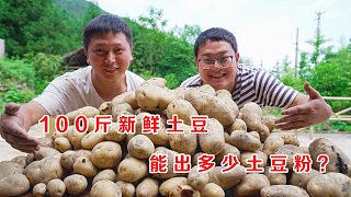 100斤土豆能出多少粉？挖100斤解锁一下！
