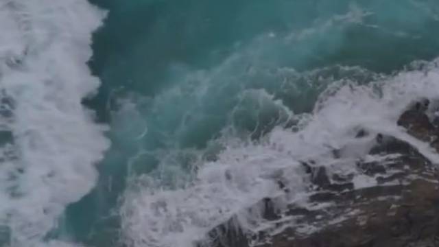 今天我也是王心凌女孩！给老王打call！