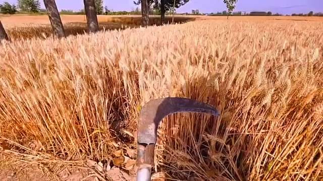 你们都在过六一⅙