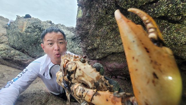 暴雨来临前鱼群聚集深水坑，还发现罕见独臂蟹王，小明最后举动太暖心了