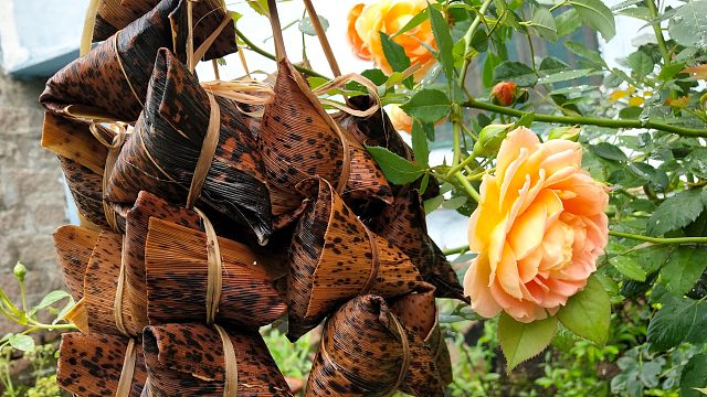 赶海遭遇暴风雨电闪雷鸣，沙滩抓蛏王过端午，海边人的海鲜粽子