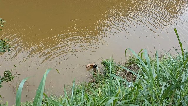 投资万元搞的鱼塘，今天端午节来池塘抓鱼，看看能不能抓到大草鱼，真实户外