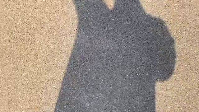 今天也是cosplay路飞的一天