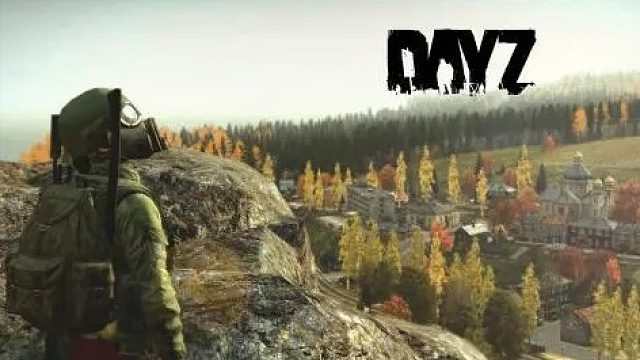 端午节 帅气丶熊 被熊安排了