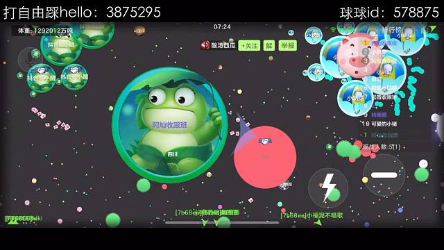 打会自由/顶级辅助队友联系我