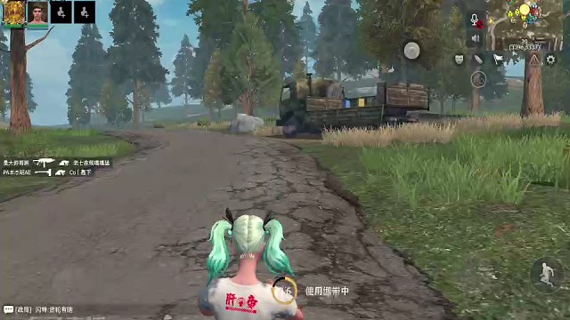 手枪票蜜蜂铁甲