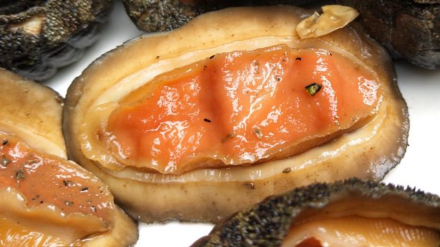 一家人无人岛赶海，抓的海鲜各不相同，奇丑石鳖竟然是美味