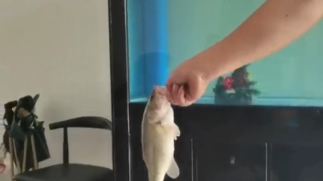 哈哈哈开心快乐