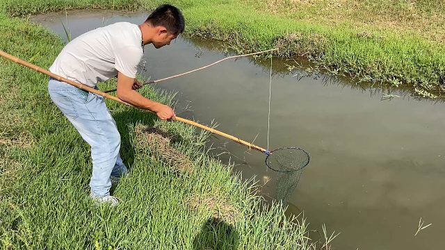 小伙河边钓龙虾，收获不好还被媳妇嫌弃手臭，小伙越钓越恼火