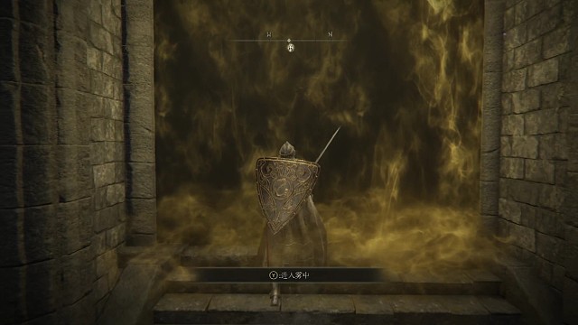 艾尔登法环禁卫骑士