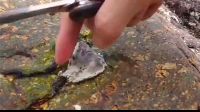 睡的正香，莫名其妙就被烤了