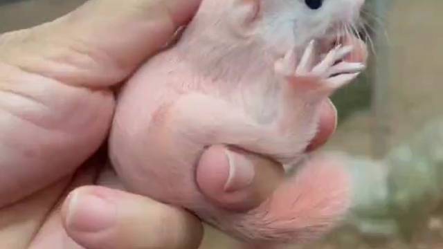 好可爱的小宝贝