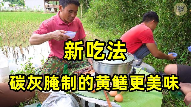 新吃法：碳灰腌黄鳝！好吃美味，带你走进农村小哥的美食生活！