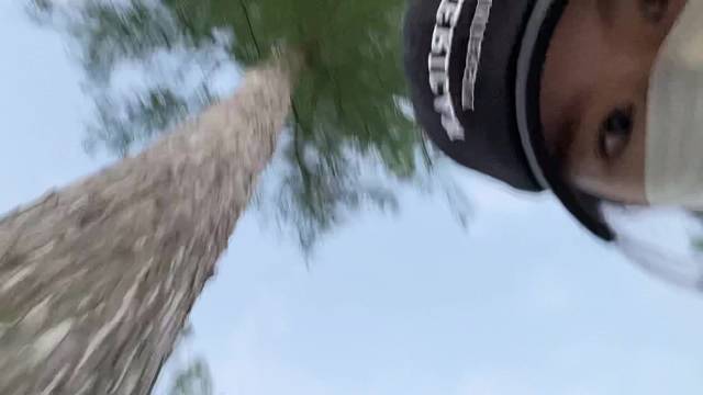 快来一起撸兔子