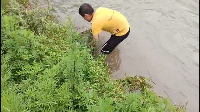 河边捞虾米【回味经典】