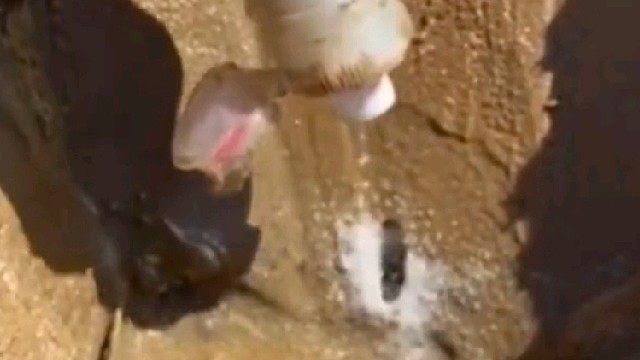 怪不得海水都是咸的，看到这一幕，我突然明白了！