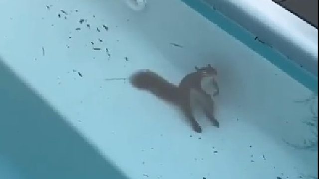 下次再去水下记得戴头套啊珊迪