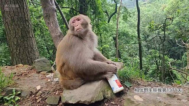 基友加油，你一定行！