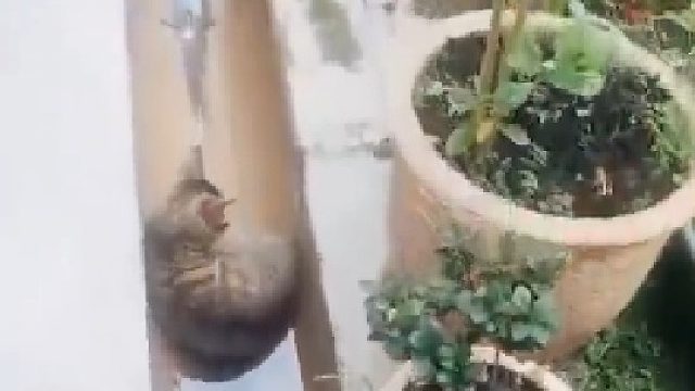 这密封性是真强啊