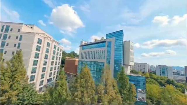 韩国西江大学