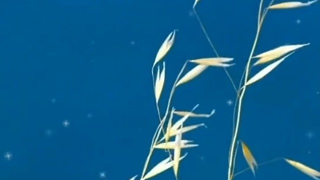 不是吧不是吧难道单押也算押