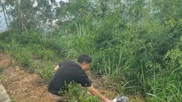 “老6”芽哥徒手挑战“大胆鸽”