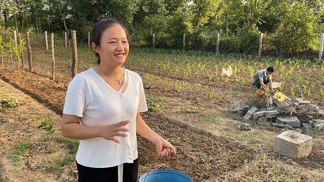 羊圈虽然拆掉了，但是地也不闲着，老爸把这一片规划的可好