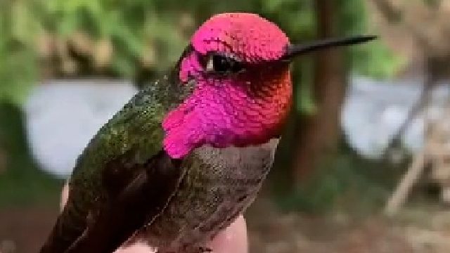 翻脸比翻书还快！