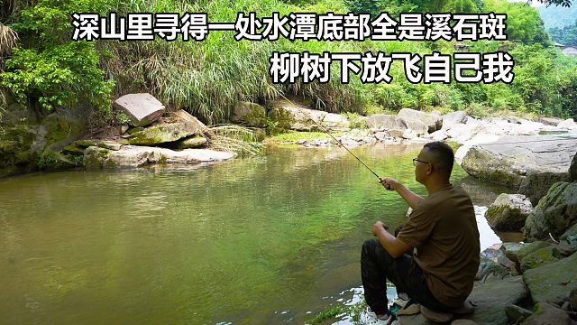 深山水潭底部全是黑影，一看就没人来钓过，鱼口有多疯狂你们猜