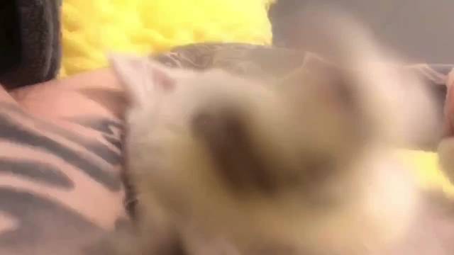 和小朋友一起玩耍吧