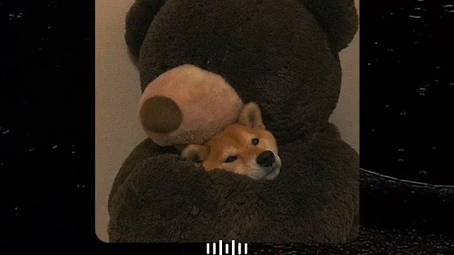 平凡其实挺好的