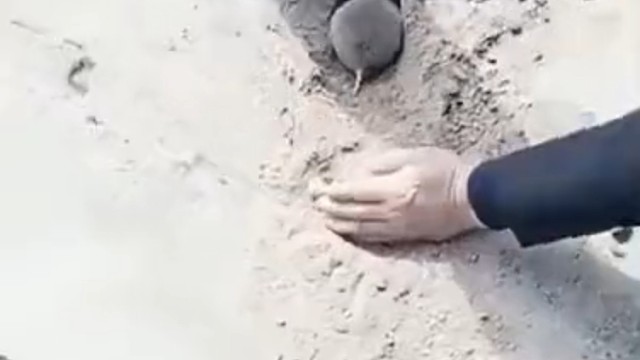 弄哭了看你们谁哄的好[馒头]