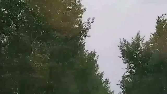 结束了一天的疲惫，躺在床上的感觉真好，安静的玩着手机，很累却不想睡，熬的不是夜，是短暂的自由。