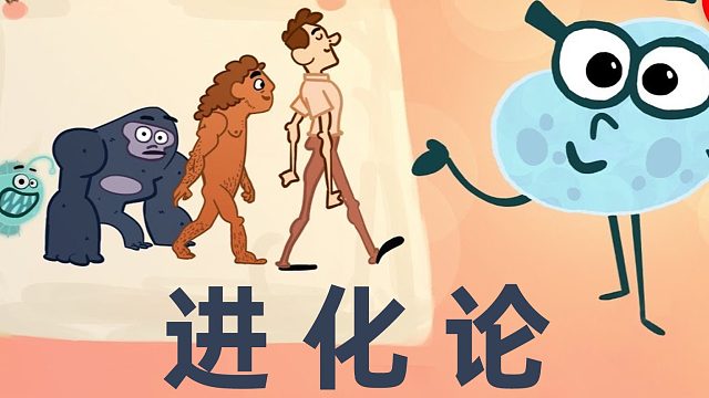 关于进化论的迷思