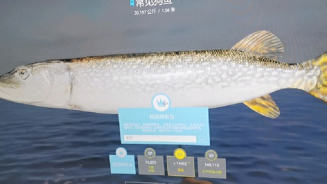 上蓝狗的过程，真香啊！