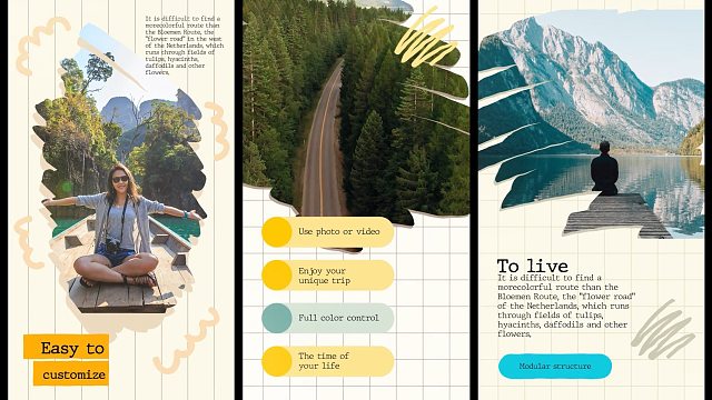 fcpx插件 10组竖屏艺术画笔创意图文相册模板 支持M1 Brush Social Media S