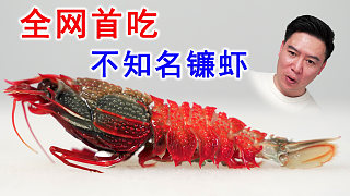 重大发现，全网都没人吃过的镰虾，壳跟铠甲一样硬