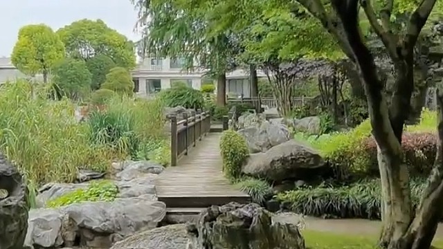 今天带大家看一套大虹桥徐泾别墅区高泾路别墅一条街九溪十八岛别墅