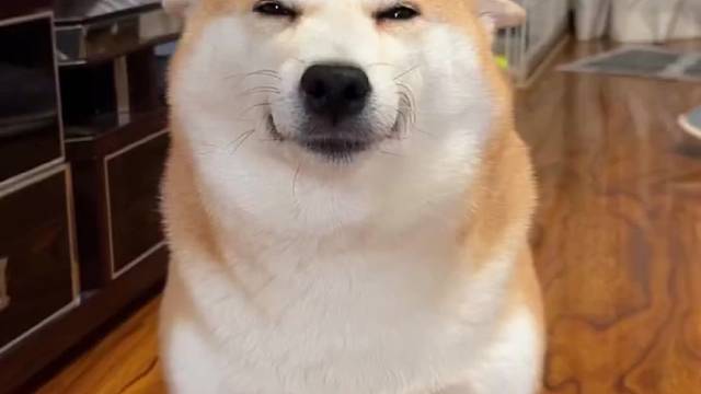 希望有小姐姐来订阅我哦