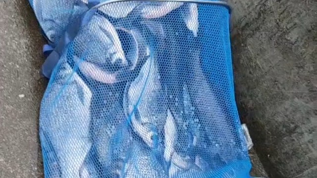 喜欢户外运动的小哥哥