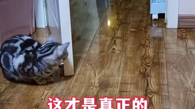 看的我都有点紧张