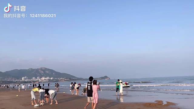 夏天的海
