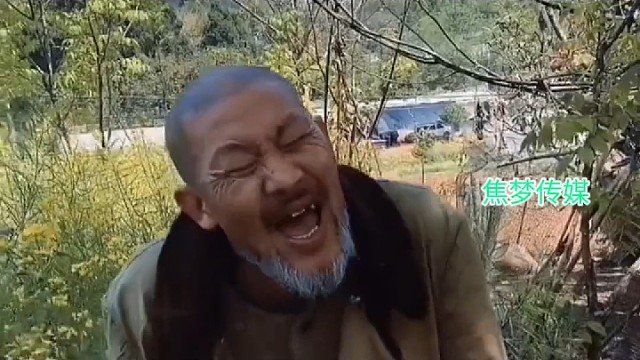 农村娃二蛋推荐