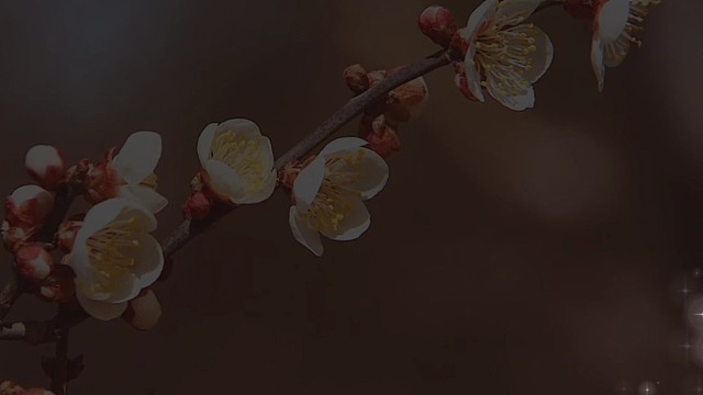 不想长大。不想回忆！