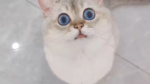 她的眼睛里有星星喔°˖✧︎◝︎(⁰▿︎⁰)◜︎✧︎˖°