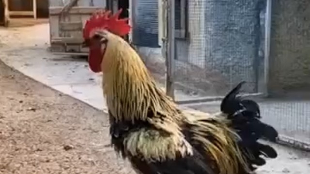 不用屏住呼吸看