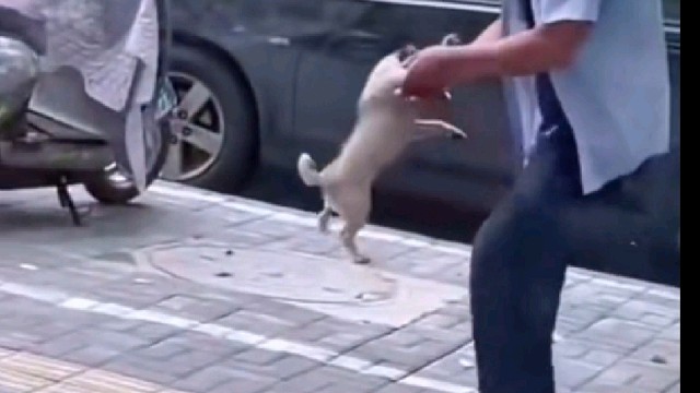 起码追了三条街。。