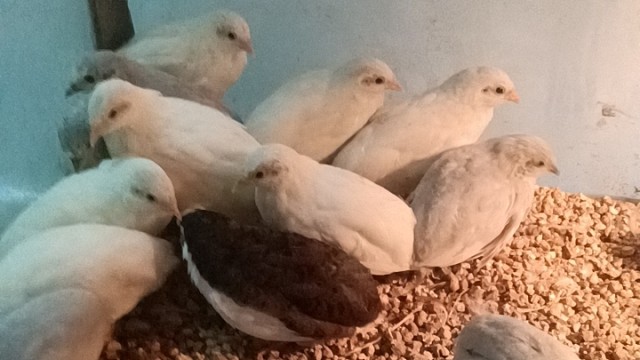 我发布了一个新视频，快来围观吧！