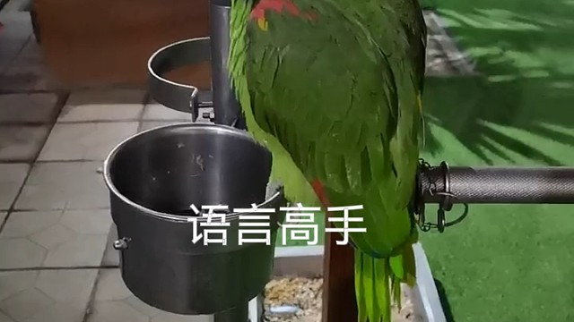歌唱家