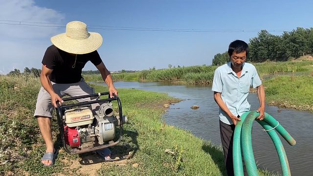 这段时间太旱了，父子俩抽水浇菜园，三天之后青菜像变个样